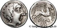 FRANKREICH Drachme au cavalier et au fleuron PICTONES / BITURIGES / CARNUTES - Mittelwestgallien, Unbekannt c. 80-60 AC. (16mm, 3,27g, 3h) -