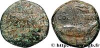 THE JULIO-CLAUDIANS (27 BC to 69 AD) Dupondius COL NEM (as) NEMAUSUS - NIMES - AUGUSTUS und AGRIPPA Nîmes (30) c. 10-14 AD. (26,5mm, 12,94g, 11h) -