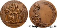 FRANKREICH Médaille, Académie nationale de médecine MÉDECINE - ACADÉMIES, FACULTÉS, UNIVERSITÉS ET ÉCOLES Monnaie de Paris 1971 (67,5mm, 181,95g, 12h) -