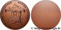 FRANKREICH Médaille, Officine central de répression du faux m POLICE ET GENDARMERIE n.d. (71mm, 161,9g, 12h) -