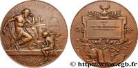 FRANKREICH Médaille, Aux sciences, École de législation profe ENSEIGNEMENT 1914 (49,5mm, 67,99g, 12h) -