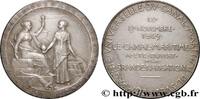 FRANKREICH Médaille, Compagnie Universelle du Canal maritime ÉGYPTE - CANAL DE SUEZ 1869 (41,5mm, 41,09g, 12h) -