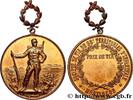 FRANKREICH Médaille, 98e régiment territorial d’infanterie, P TIR ET ARQUEBUSE 03 - Montluçon n.d. (55,5mm, 60,59g, 12h) -