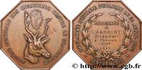 FRANKREICH CHASSEURS CONTRE LE BRACONNAGE SOCIÉTÉS D'AGRICULTURE, HORTICULTURE, PÊCHE ET CHASSE 77 - Provins 1917 (46mm, 49,85g, 12h) -