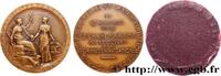 FRANKREICH Médaille, Compagnie universelle du canal maritime ÉGYPTE - CANAL DE SUEZ (1869) (41mm, 35,39g, 12h) -