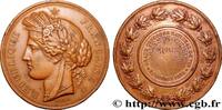 FRANKREICH Médaille, Grand concours national de tir, Armes de TIR ET ARQUEBUSE 33 - Bordeaux 1882 (51mm, 57,98g, 12h) -