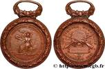 FRANKREICH Médaille, Tireurs bordelais TIR ET ARQUEBUSE 33 - Bordeaux 1891 (51mm, 13,37g, 12h) -