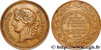 FRANKREICH Médaille, Concours de musique MUSIQUE, ARTS ET CONCERTS 33 - La Réole 1877 (34mm, 13,18g, 12h) -