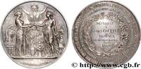 FRANKREICH Médaille, Travaux archéologiques HISTOIRE ET ARCHÉOLOGIE 1860 (50,5mm, 61,93g, 12h) -