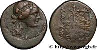 Hellenistic 2 (188 BC to 30 BC) Unité SYRIE - APAMÉE Apamée, Syrie 20-19 AC. (23mm, 8,80g, 12h) -