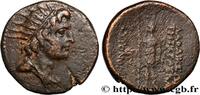 THE REPUBLIC (280 BC to 27 BC) Bronze SYRIEN - SELEUKIS UND PIERIEN - LAODIKEIA Laodicée 44 AC. (22,5mm, 9,05g, 12h) -