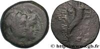 Hellenistic 1 (323 BC to 188 BC) Hemichalque PHOENICIA - AKE-PTOLEMAÏS Aké-Ptolémaïs, Phénicie 164-133 AC. (15,5mm, 3,20g, 12h) -
