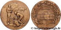 FRANKREICH Médaille, Offerte par Monsieur de Malartic, consei CONSEIL GÉNÉRAL, DÉPARTEMENTAL OU MUNICIPAL - CONSEILLERS n.d. (45mm, 18,42g, 12h) ...