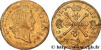 FRANKREICH Louis d’or aux insignes LOUIS XIV THE SUN KING Bordeaux s.m. (26mm, 6,68g, 6h) -