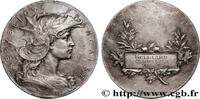 Médaille, République Française 1941 FRANKREICH ÉTAT FRANÇAIS  1941 (50mm, 63,12g, 12h) SS