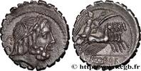 THE REPUBLIC (280 BC to 27 BC) Denier serratus ANTONIA Rome 83-82 AC. (19mm, 3,83g, 7h) -