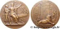 FRANKREICH Médaille PRO PATRIA - Préparation militaire MINISTÈRES 1911 (49,5mm, 68,97g, 12h) -