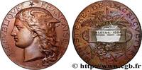FRANKREICH Médaille, Concours régional agricole AGRICULTURE 45 - Orléans 1894 (50mm, 58,75g, 12h) -