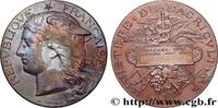 FRANKREICH Médaille, Concours régional agricole AGRICULTURE 45 - Orléans 1894 (51mm, 59,65g, 12h) -
