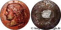 FRANKREICH Médaille, Concours général agricole, volailles viv AGRICULTURE 75 - Paris 1887 (50mm, 54,76g, 12h) -