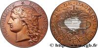 FRANKREICH Médaille, Concours régional agricole AGRICULTURE 76 - Rouen 1892 (51mm, 60,03g, 12h) -