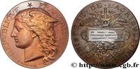 FRANKREICH Médaille, Concours général agricole, volailles viv AGRICULTURE 75 - Paris 1883 (51mm, 61,07g, 12h) -