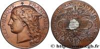 FRANKREICH Médaille, Concours régional agricole AGRICULTURE 78 - Versailles 1891 (51mm, 57,59g, 12h) -