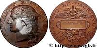 FRANKREICH Médaille, Concours régional agricole AGRICULTURE 45 - Orléans 1894 (51mm, 58,76g, 12h) -