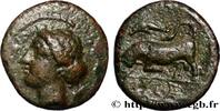 Hellenistic 1 (323 BC to 188 BC) Litra SIKILIEN - SYRAKUS Syracuse, Sicile c. 317-310 AC. (15,5mm, 3,21g, 7h) -