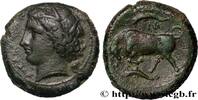 Hellenistic 1 (323 BC to 188 BC) Litra SIKILIEN - SYRAKUS Syracuse, Sicile c. 317-310 AC. (22,5mm, 10,70g, 3h) -