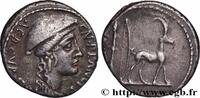 THE REPUBLIC (280 BC to 27 BC) Denier PLANCIA Rome 55 AC. (17,5mm, 4,02g, 9h) -