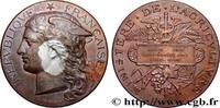 FRANKREICH Médaille, Concours régional d’agriculture, espèce AGRICULTURE 80 - Amiens 1890 (51mm, 58,42g, 12h) -