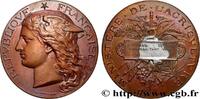 FRANKREICH Médaille, Concours général agricole AGRICULTURE 75 - Paris 1894 (51mm, 60,37g, 12h) -