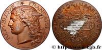 FRANKREICH Médaille, Concours régional agricole AGRICULTURE 78 - Versailles 1891 (51mm, 59,10g, 12h) -
