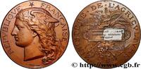 FRANKREICH Médaille, Concours régional agricole AGRICULTURE 78 - Versailles 1891 (51mm, 57,47g, 12h) -