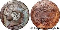 FRANKREICH Médaille, Concours général agricole, volailles viv AGRICULTURE 75 - Paris 1883 (51mm, 58,39g, 12h) -