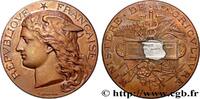 FRANKREICH Médaille, Concours régional agricole AGRICULTURE 28 - Chartres 1896 (51mm, 59,87g, 12h) -