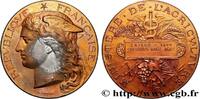 FRANKREICH Médaille, Concours régional d’agriculture AGRICULTURE 80 - Amiens 1899 (51mm, 59,35g, 12h) -