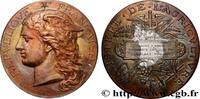 FRANKREICH Médaille, Concours général agricole, volailles viv AGRICULTURE 75 - Paris 1884 (51mm, 58,39g, 12h) -