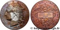 FRANKREICH Médaille, Concours général agricole AGRICULTURE 75 - Paris 1891 (51mm, 63,25g, 12h) -