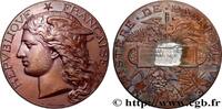 FRANKREICH Médaille, Concours général agricole AGRICULTURE 75 - Paris 1894 (51mm, 57,81g, 12h) -
