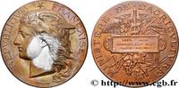 FRANKREICH Médaille, Concours régional agricole, espèce porci AGRICULTURE 02 - Laon 1888 (51mm, 57,67g, 12h) -