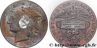FRANKREICH Médaille, Concours régional agricole, espèce bovin AGRICULTURE 02 - Laon 1888 (51mm, 55,46g, 12h) -