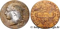 FRANKREICH Médaille, Concours régional agricole, animaux de b AGRICULTURE 77 - Melun 1887 (51mm, 59,09g, 12h) -