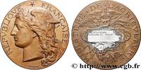 FRANKREICH Médaille, Concours régional agricole AGRICULTURE 89 - Auxerre 1893 (51mm, 59,34g, 12h) -
