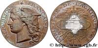 FRANKREICH Médaille, Concours régional agricole AGRICULTURE 89 - Auxerre 1893 (50,5mm, 59,59g, 12h) -