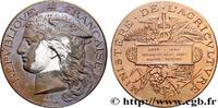 FRANKREICH Médaille, Concours régional agricole, espèce porci AGRICULTURE 02 - Laon 1888 (51mm, 56,37g, 12h) -