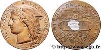 FRANKREICH Médaille, Concours régional agricole AGRICULTURE 89 - Auxerre 1893 (50,5mm, 60,04g, 12h) -