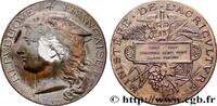 FRANKREICH Médaille, Concours général agricole, espèce porcin AGRICULTURE 75 - Paris 1887 (50,5mm, 56,43g, 12h) -
