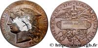 FRANKREICH Médaille, Concours général agricole AGRICULTURE 75 - Paris 1893 (50mm, 53,81g, 12h) -